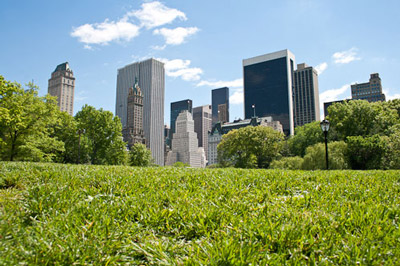 Central Park, New York