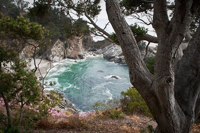 Julia Pfeiffer Burns State Park